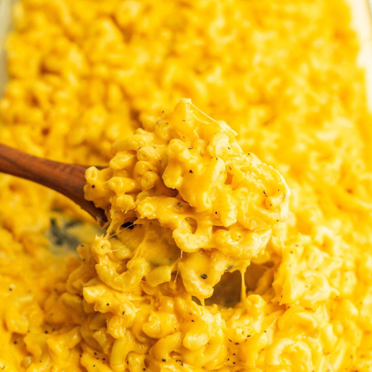 Mac and Cheese in a baking dish with a serving on a wooden spoon