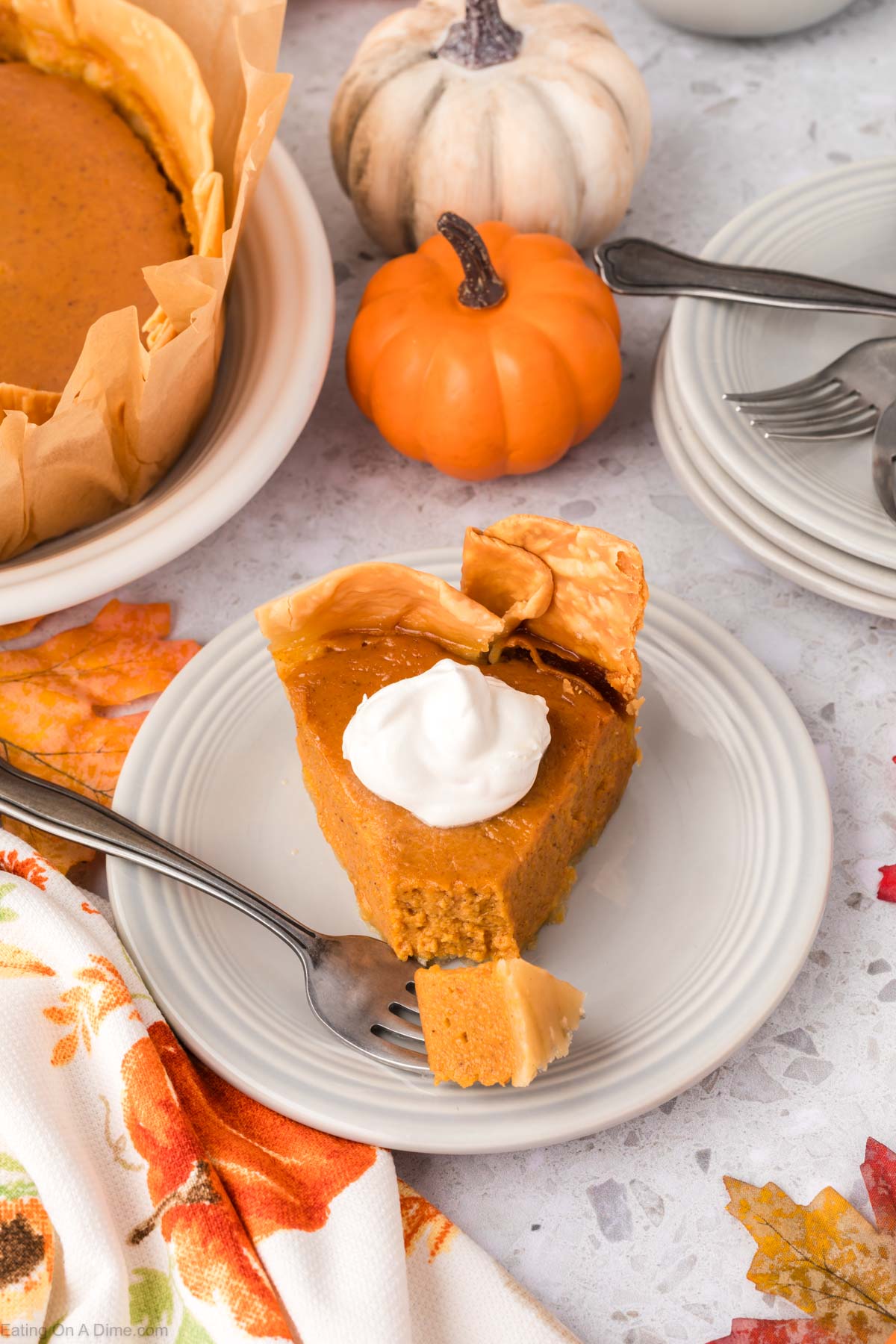 Slice of pumpkin pie on a plate with a dollop of cool whip