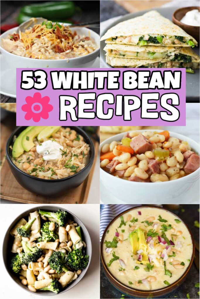 The search is over for the best white bean recipes, let alone 55 of them! This recipe list is for palates of all tastes and flavors. From the classic chilis, dips, soups, and the occasional pasta, our list has anything and everything! #eatingonadime #whitebeanrecipes #whitebeans
