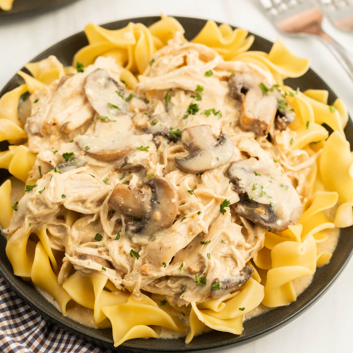 Chicken stroganoff topped on egg noodles on a plate