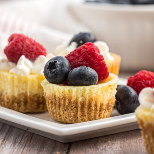 Mini Cheesecake Bites with a graham cracker crust, topped with fresh raspberries, blueberries, and whipped cream, are beautifully arranged on a rectangular white plate.