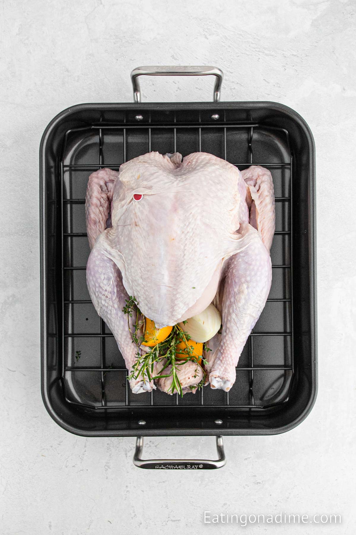 Inserting the uncooked turkey with fresh fruit, vegetables and fresh herbs