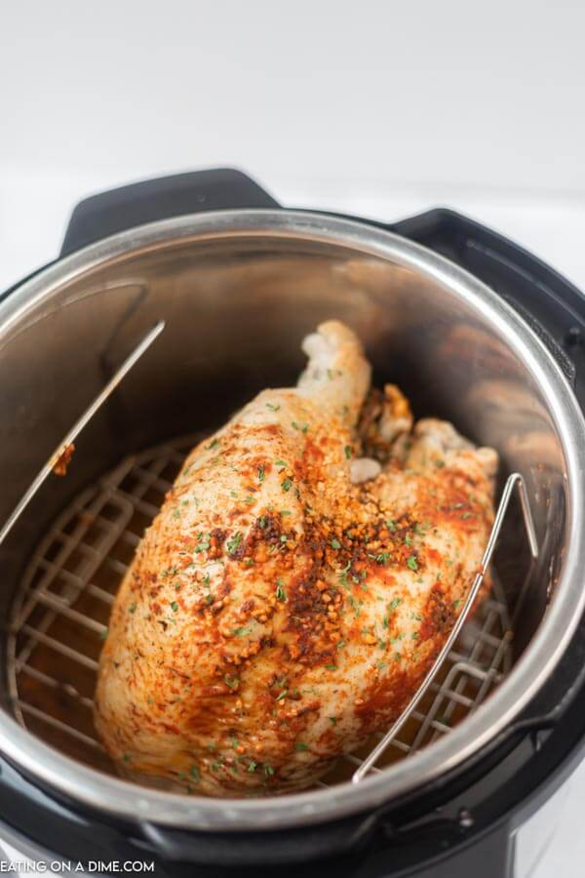 turkey with seasoning in instant pot
