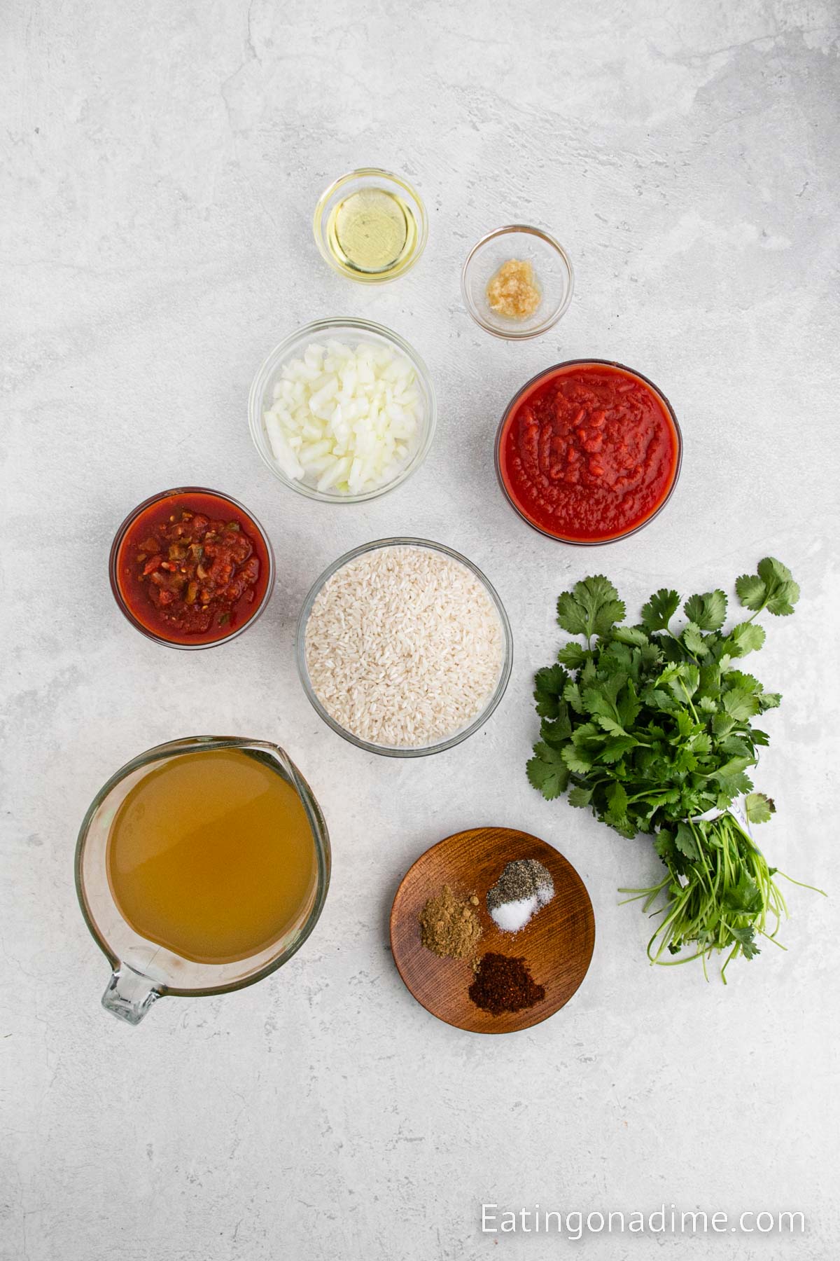 Ingredients for Spanish Rice - White Rice, onion, oil, chicken broth, tomato sauce, salsa, garlic, cumin, chili powder, salt, pepper, cilantro