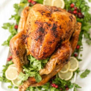 A beautifully roasted turkey displayed on a white platter, garnished with fresh green herbs, lemon slices, and cranberries. With golden-brown, crispy skin and stuffed with fresh parsley, this is the perfect example of how to roast a turkey to perfection.