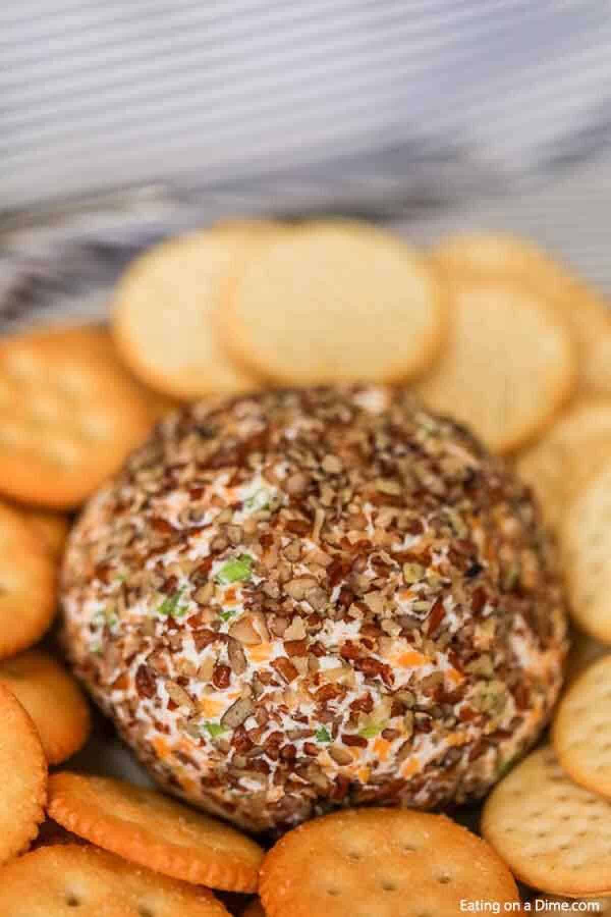 Garlic onion cheese ball is a tasty and classic cheese ball recipe. Tons of garlic and cheddar flavor make this the best appetizer or snack. Close up image of garlic onion cheese ball with a side of crackers.