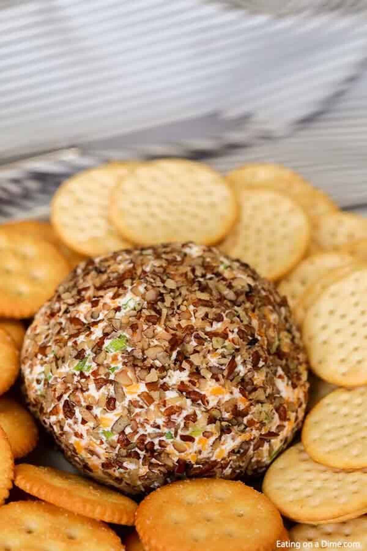 Garlic onion cheese ball is a tasty and classic cheese ball recipe. Tons of garlic and cheddar flavor make this the best appetizer or snack. Close up image of a Garlic Onion Cheese ball with a side of crackers.