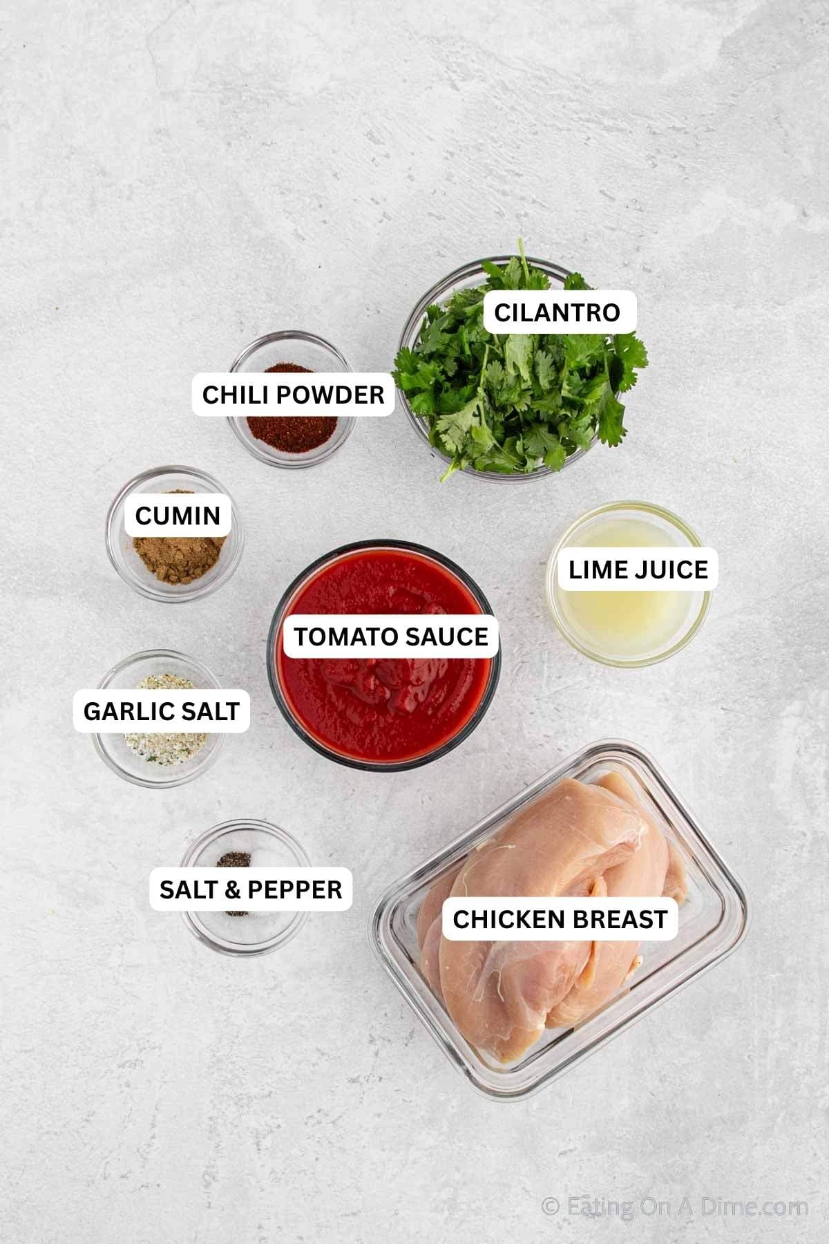 Ingredients for recipe: cilantro, chili powder, cumin, lime juice, tomato sauce, garlic salt, chicken breasts, salt and pepper.