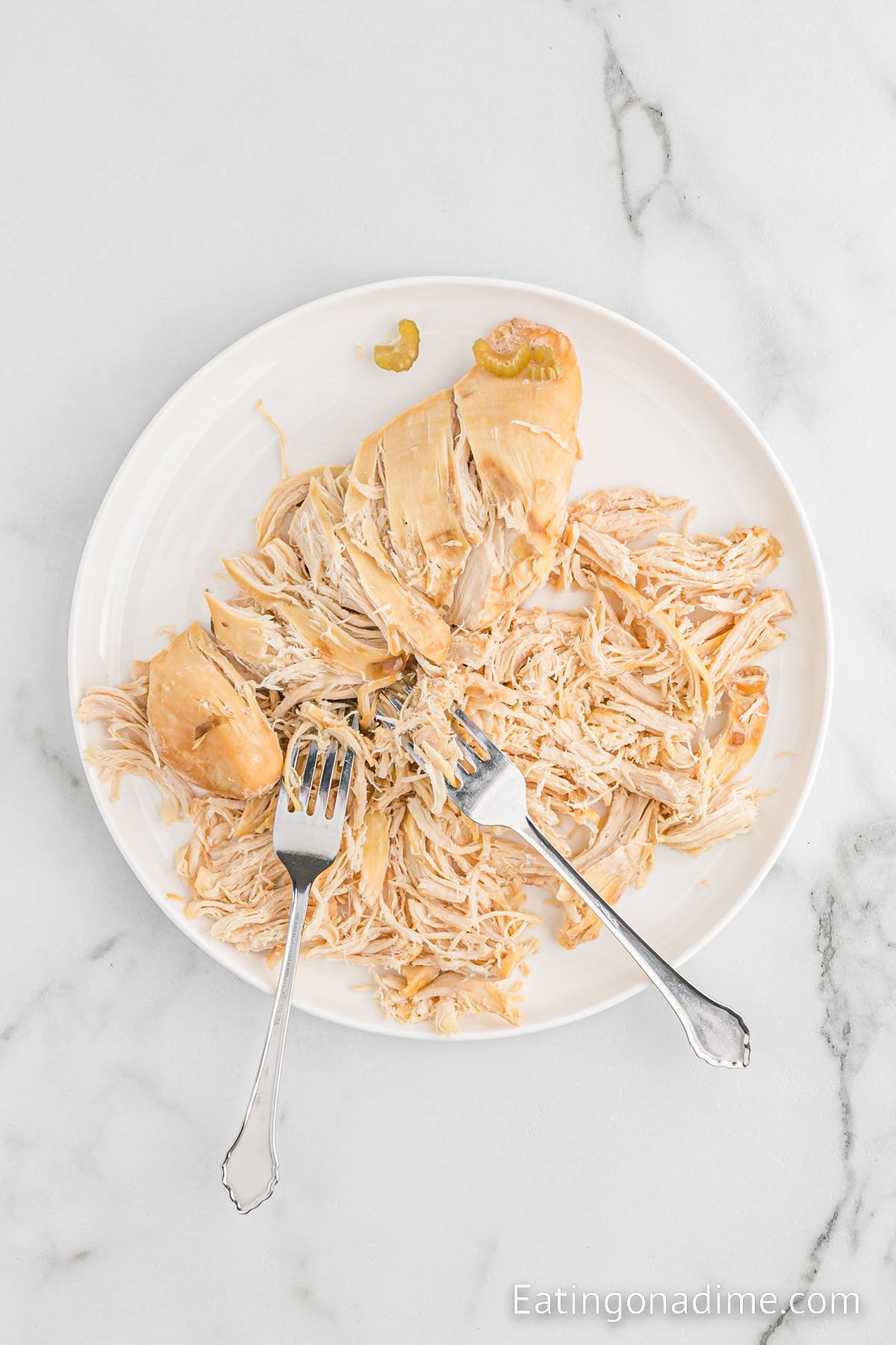 Shredding chicken on a plate with two forks