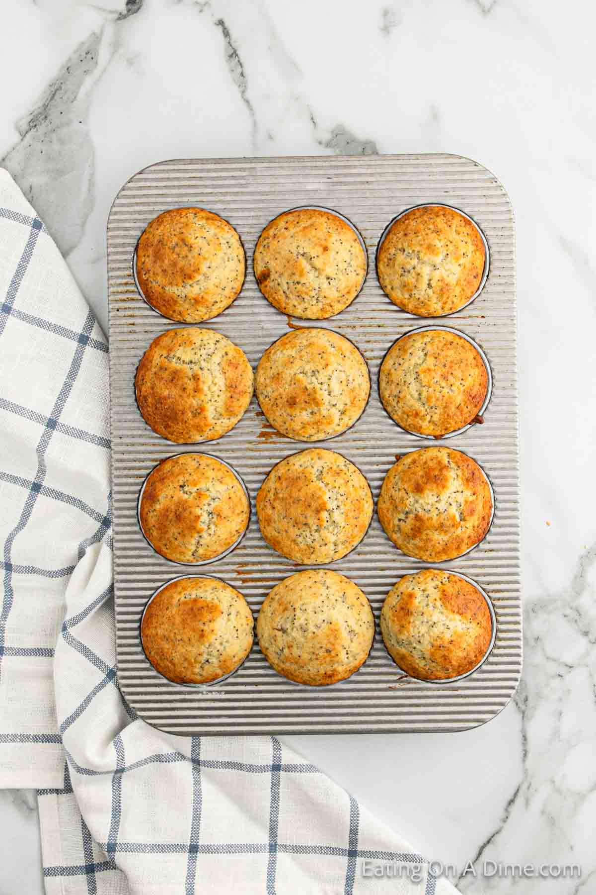 Baked lemon poppyseeds muffins in a muffin tin