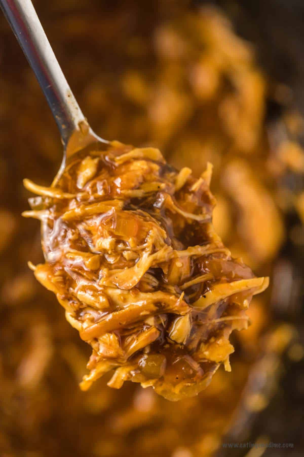 Close up image of shredded BBQ on a spoon