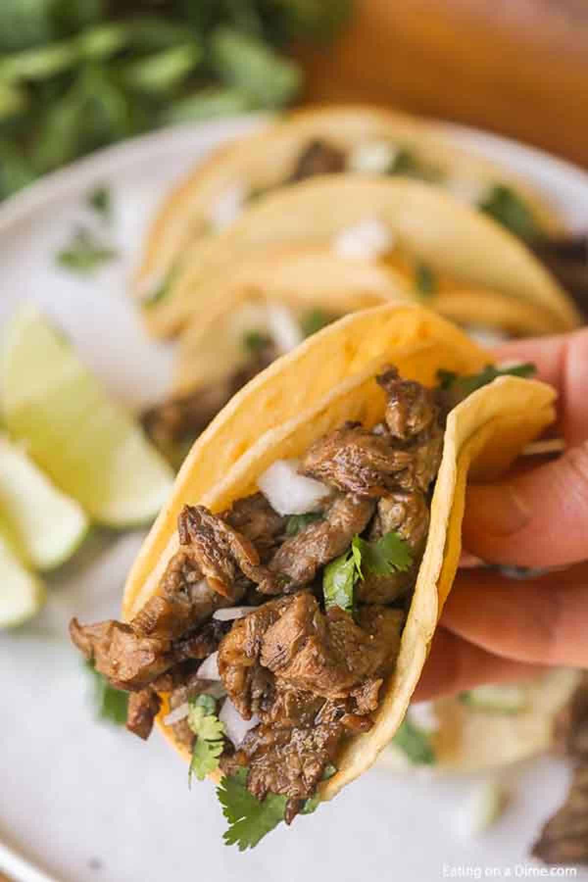 A hand holding a street taco topped with white onions and cilantro.