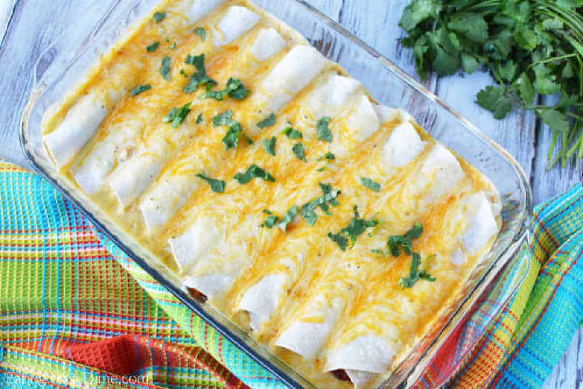 Sour Cream Chicken Enchiladas in a Baking pan topped with melted cheese and fresh cilantro. 