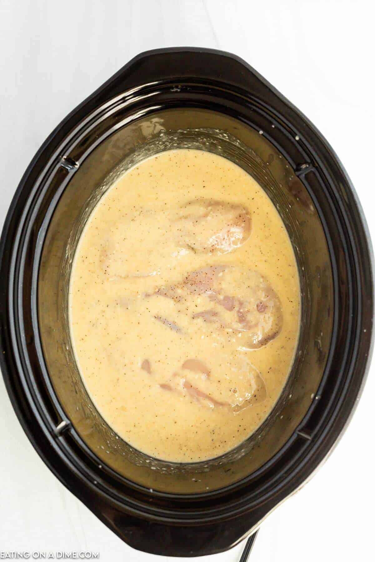 Adding the sauce and chicken to the slow cooker