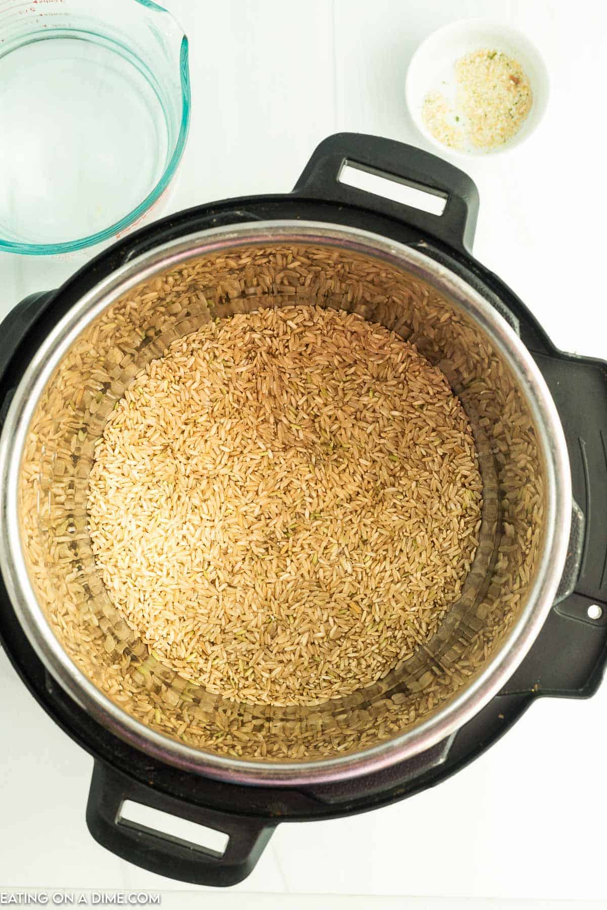 Placing brown rice and water in the instant pot