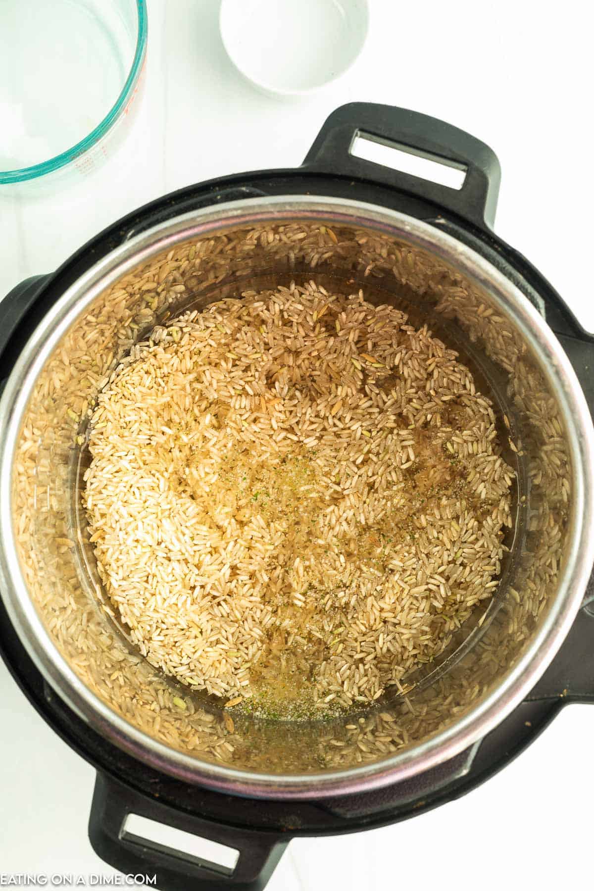 Add in garlic salt to the instant pot
