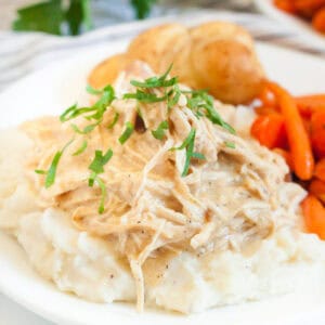 Chicken and gravy over mashed potatoes on a plate with carrot