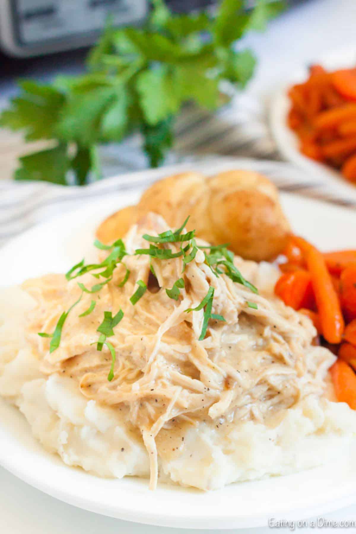 Chicken and gravy over mashed potatoes on a plate with carrot