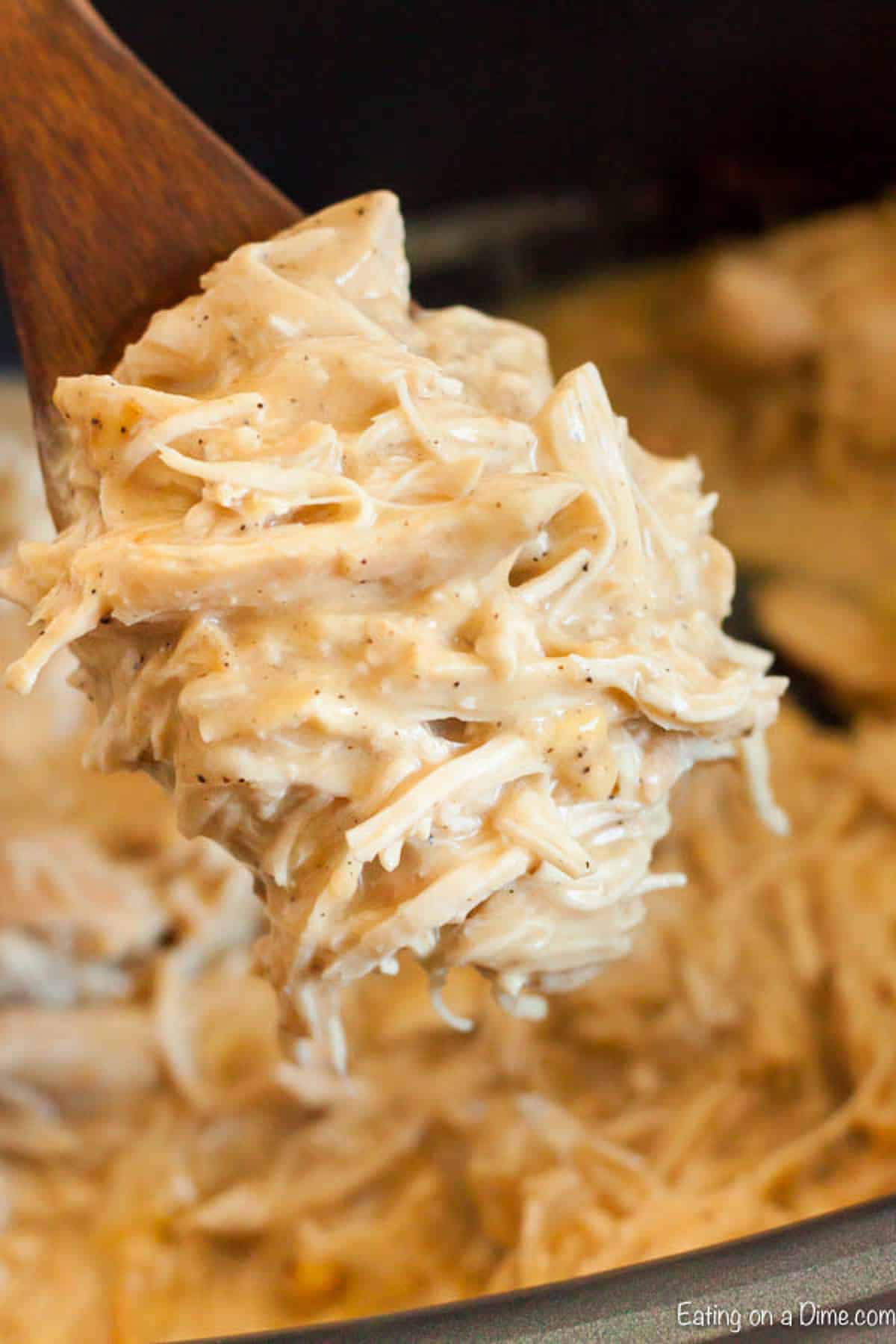 Close up image of chicken and gravy on a wooden spoon