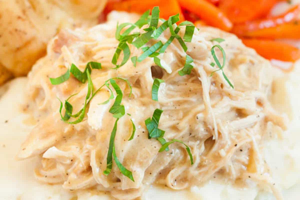 Chicken and gravy over mashed potatoes on a plate with carrot