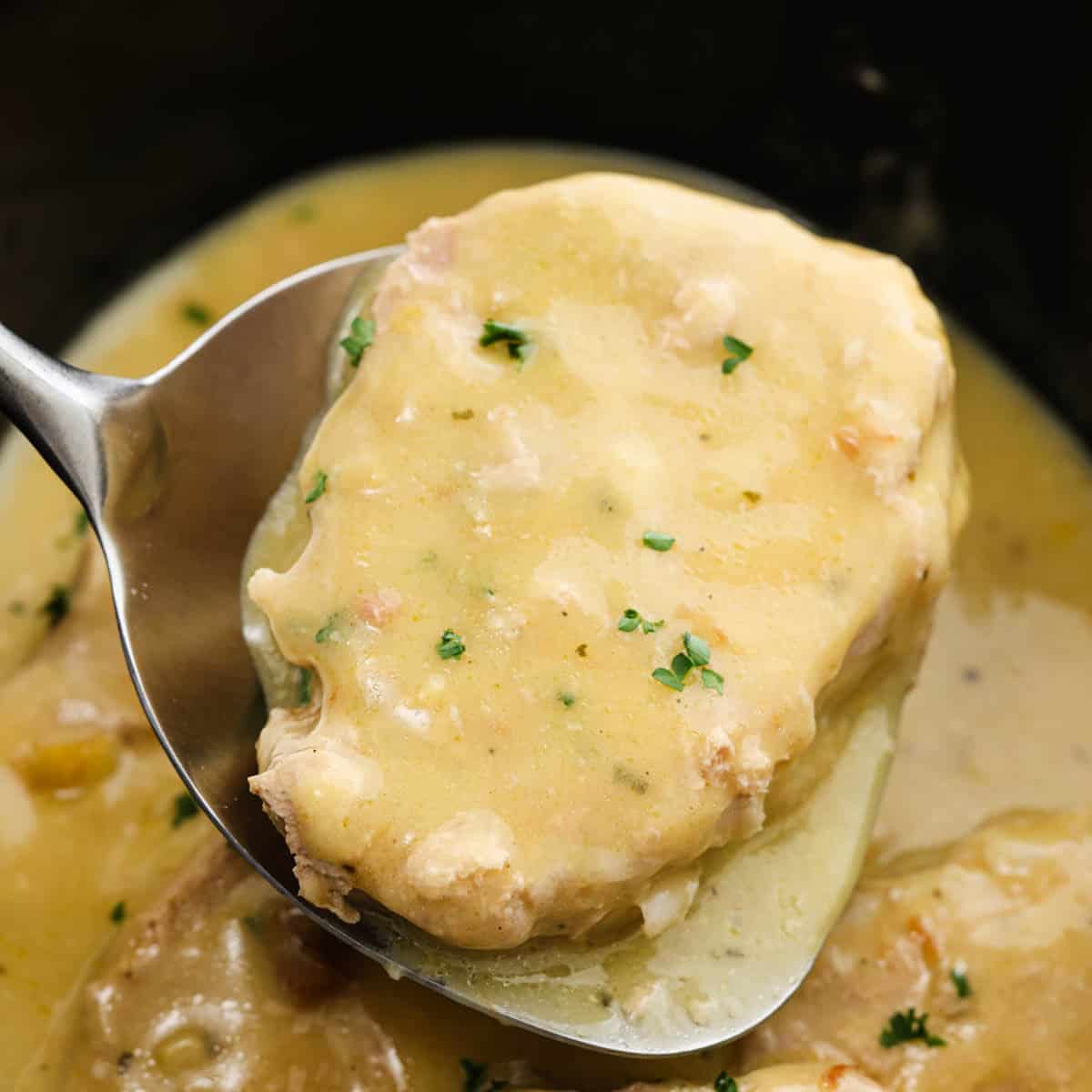 A serving of pork chops with gravy on a spatula with the rest of the cooked pork chops in the slow cooker.