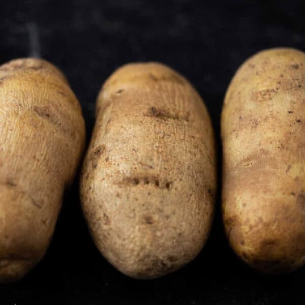 Three brown potatoes are lined up side by side on a dark surface. Their rough texture with visible blemishes and eyes makes them perfect for delicious leftover baked potato recipes.