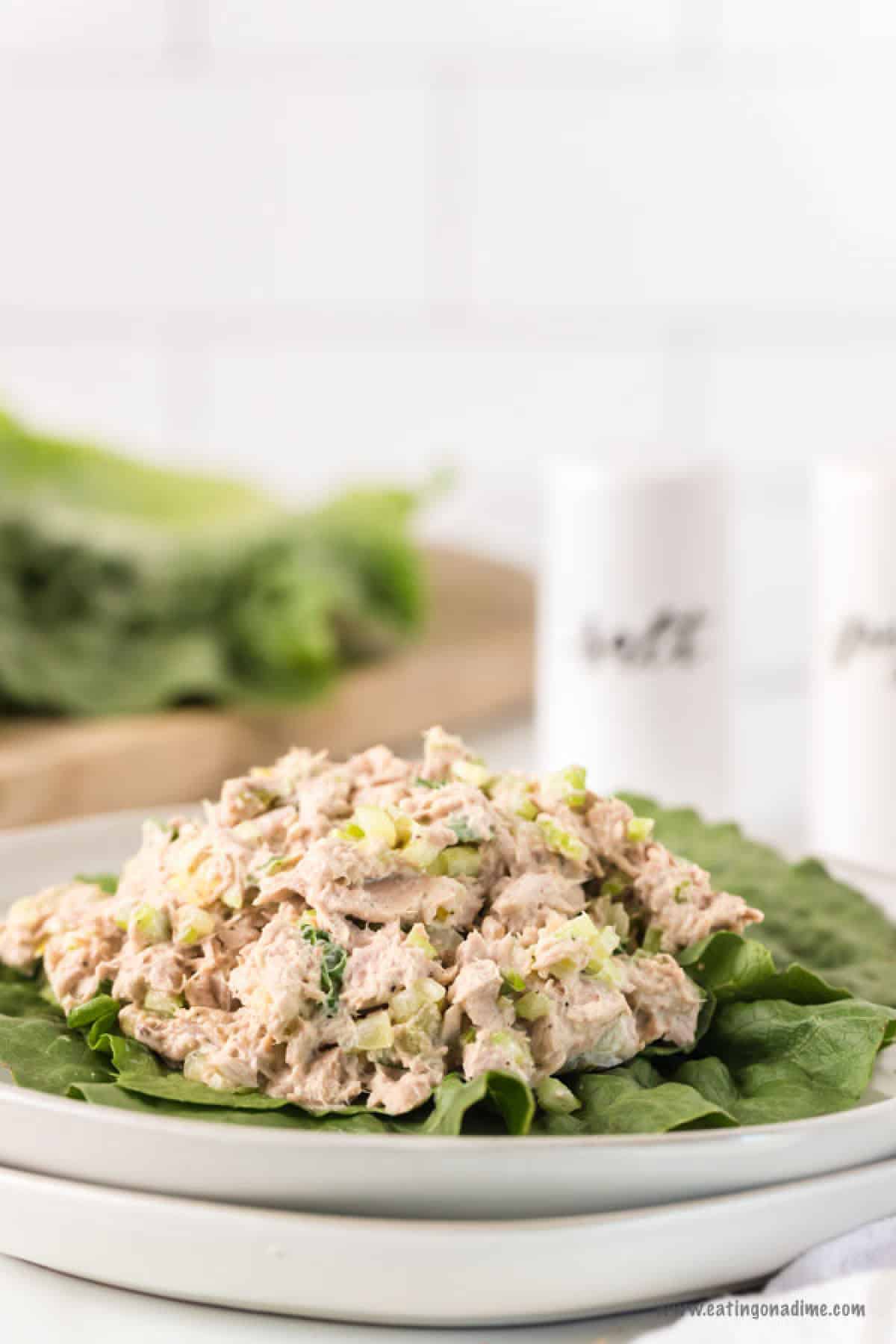 Delicious meals like this Keto Tuna Salad Recipe really make it so easy to stay on a keto diet. Keto tuna salad low carb recipe is perfect for a quick meal. Keto tuna salad lunch ideas are budget friendly and so tasty! Try keto tuna salad recipes low carb. #eatingonadime #ketotunasaladrecipe Tuna Salad on a bed of lettuce on a plate