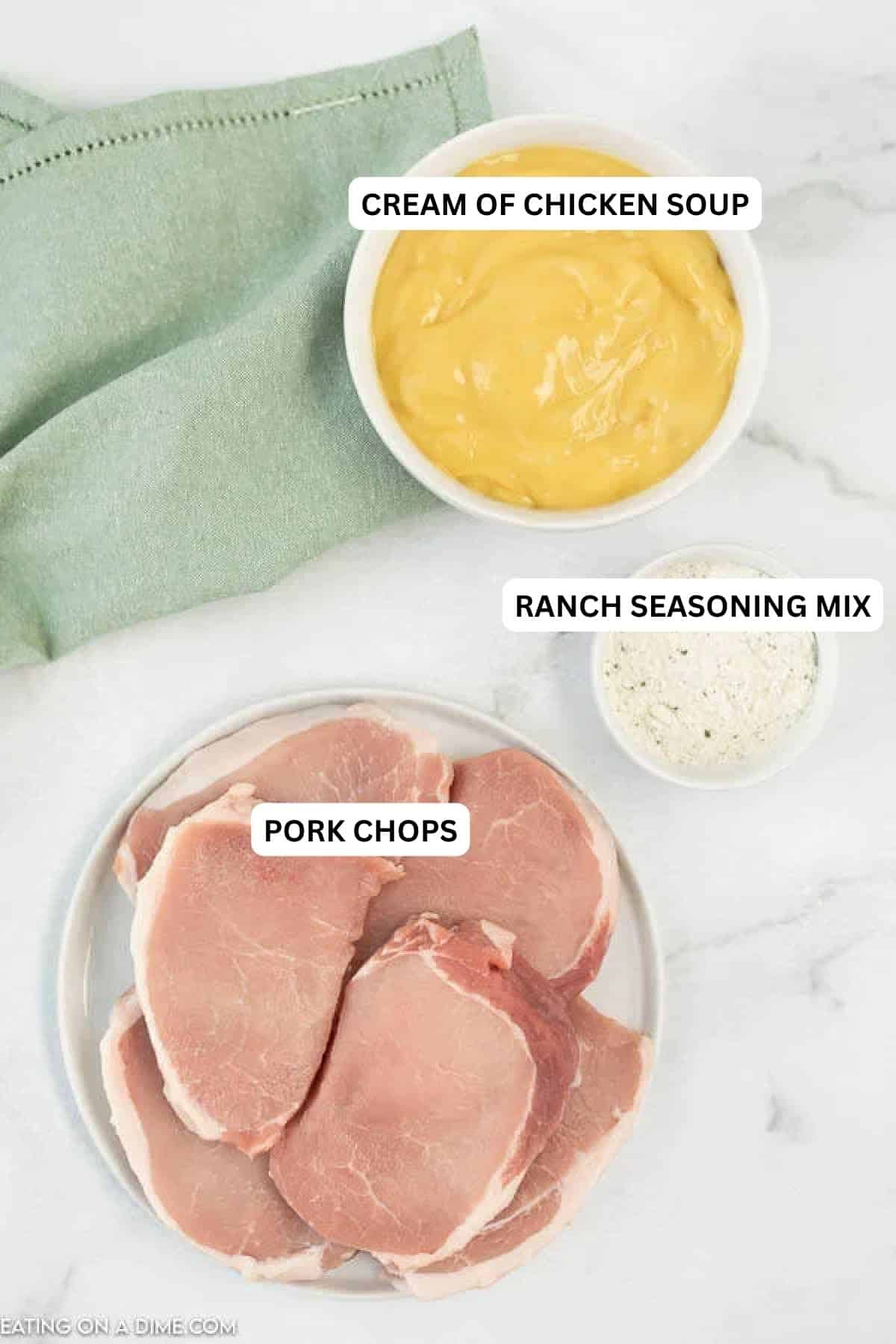 Easy Crock Pot Pork Chops is such a simple recipe. Try Easy Slow Cooker Pork Chops for a meal sure to impress the family. This meal is tender and delicious. Ingredients for recipe: cream of chicken soup, ranch seasoning mix and pork chops.