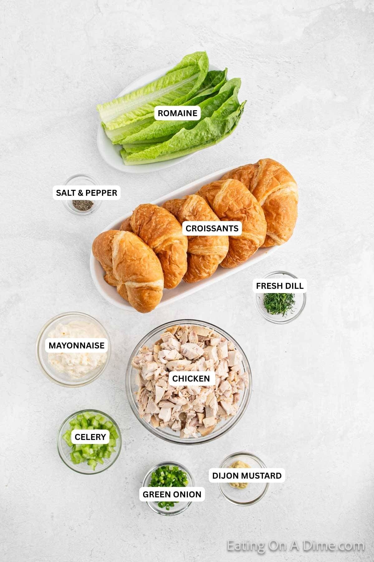 Ingredients for recipe: romaine, salt, pepper, croissants, fresh dill, mayo, chicken, celery, onion and Dijon mustard.
