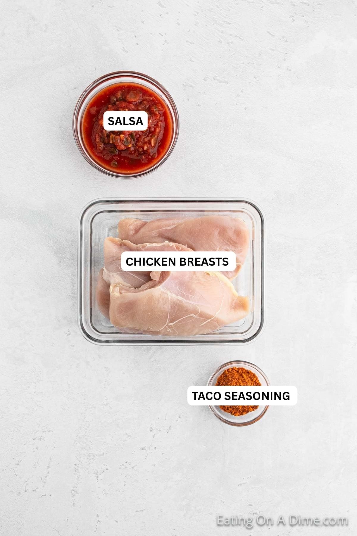 Ingredients for recipe: salsa, chicken breasts and taco seasoning.