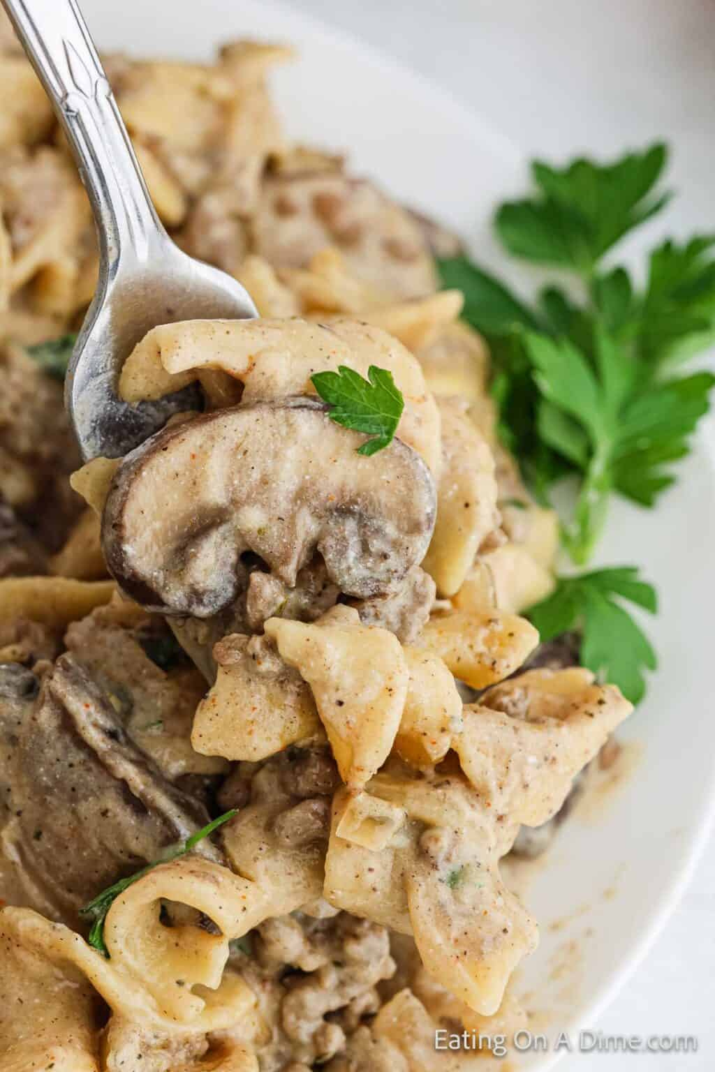 Hamburger Helper Stroganoff - Eating on a Dime