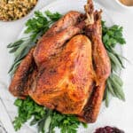 Thanksgiving turkey on a bed of cilantro and other herbs, with stuffing, cranberry sauce and gravy around it in small white bowls.