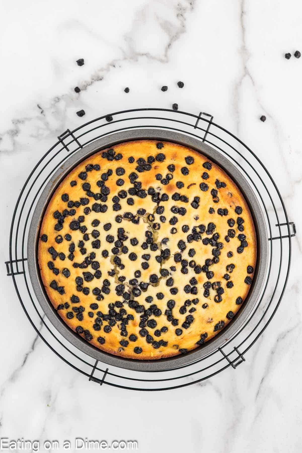 A round high protein cottage cheese cake topped with scattered chocolate chips sits on a cooling rack over a white marble surface. The text “Eating on a Dime.com” appears in the bottom left corner.