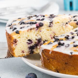 A close-up of a Cottage Cheese Cake with blueberries and white icing, as a slice is lifted to reveal its moist crumb and scattered berries inside and on top. The cake sits elegantly on a white plate.