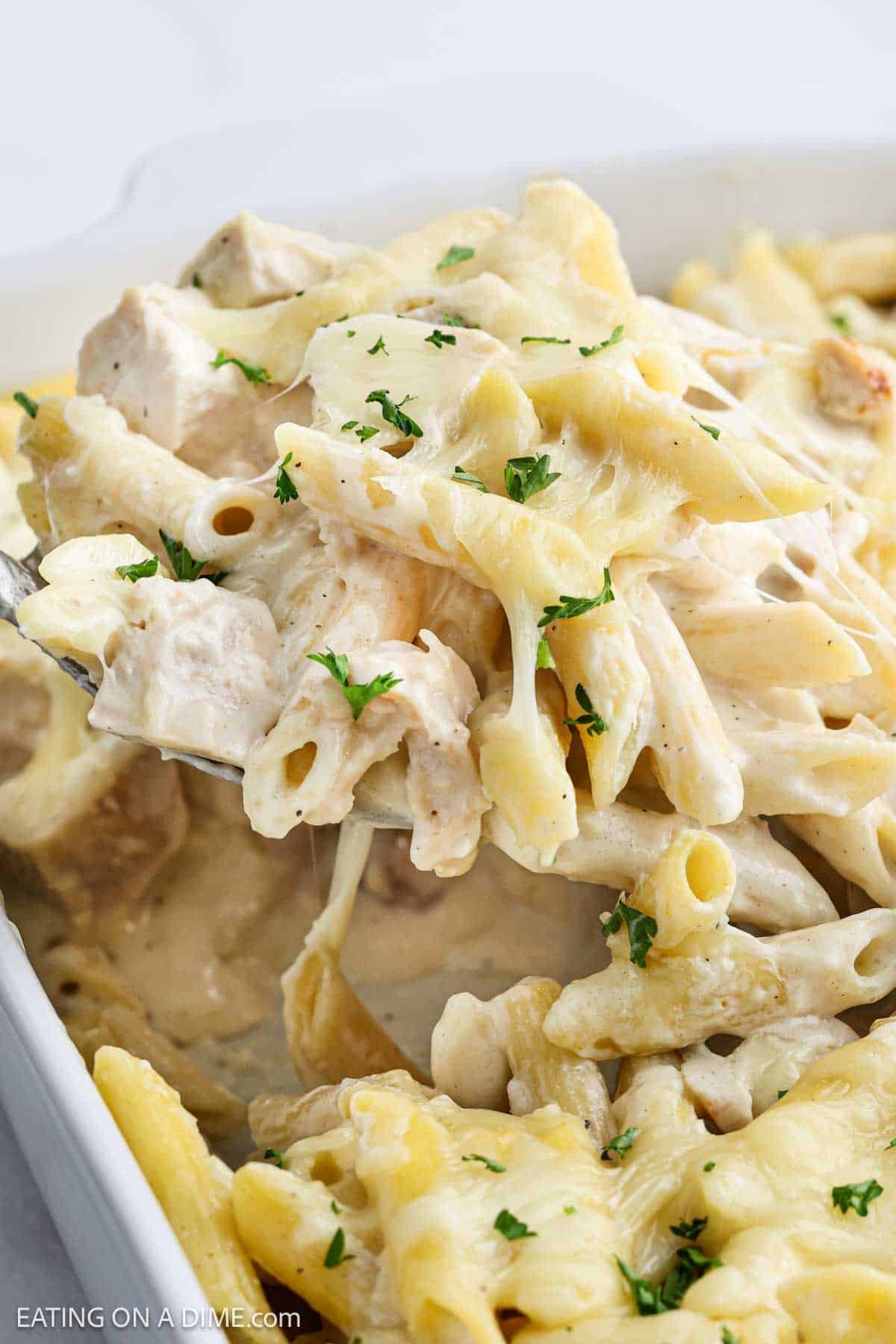 Close-up of creamy Chicken Alfredo Bake with melted cheese and pieces of chicken, garnished with chopped parsley and served in a white casserole dish.