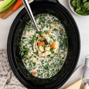 A Crock Pot brimming with creamy Chicken Gnocchi Soup, featuring shredded chicken, spinach, carrots, celery, and potatoes. A ladle lifts a hearty portion while fresh spinach and veggies rest nearby.