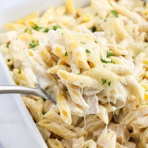 A close-up of a spoonful of cheesy Chicken Alfredo Bake penne pasta topped with chopped parsley, held above a baking dish filled with more creamy pasta.