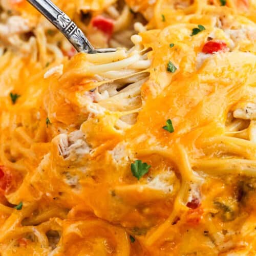 Close-up of a cheesy Baked Chicken Spaghetti dish with melted cheddar, small pieces of red bell pepper, and parsley garnish, with a fork lifting a portion.