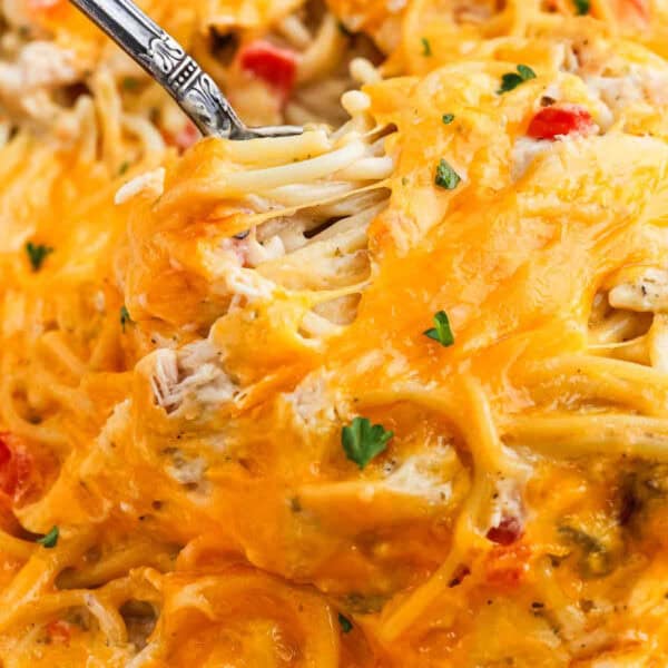 Close-up of a cheesy Baked Chicken Spaghetti dish with melted cheddar, small pieces of red bell pepper, and parsley garnish, with a fork lifting a portion.