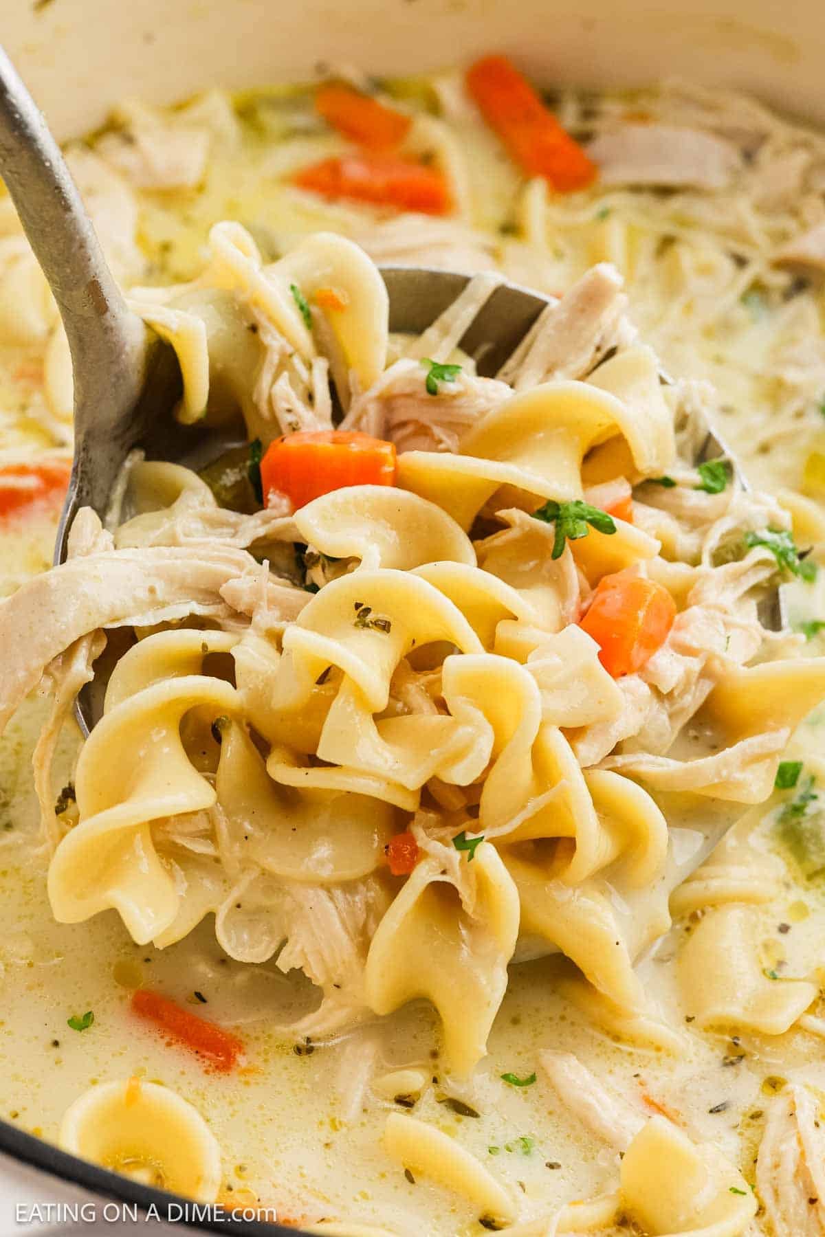 A close-up of a ladle lifting Creamy Chicken Noodle Soup, brimming with egg noodles, shredded chicken, sliced carrots, and fresh herbs from a steaming pot.