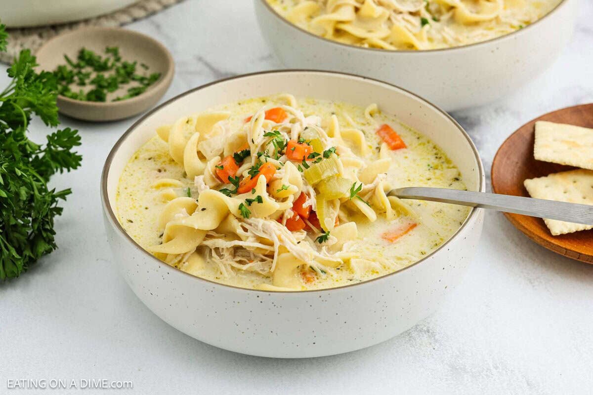 A bowl of Creamy Chicken Noodle Soup with egg noodles, shredded chicken, carrots, and fresh herbs, served with a spoon. Parsley and cracker squares complete this comforting classic.