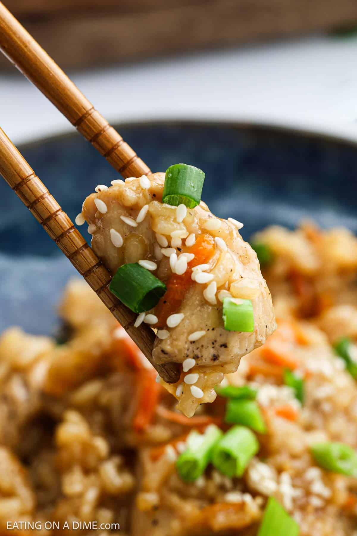 Teriyaki Chicken & Rice: A Quick One-Pan Meal - Eating on a Dime