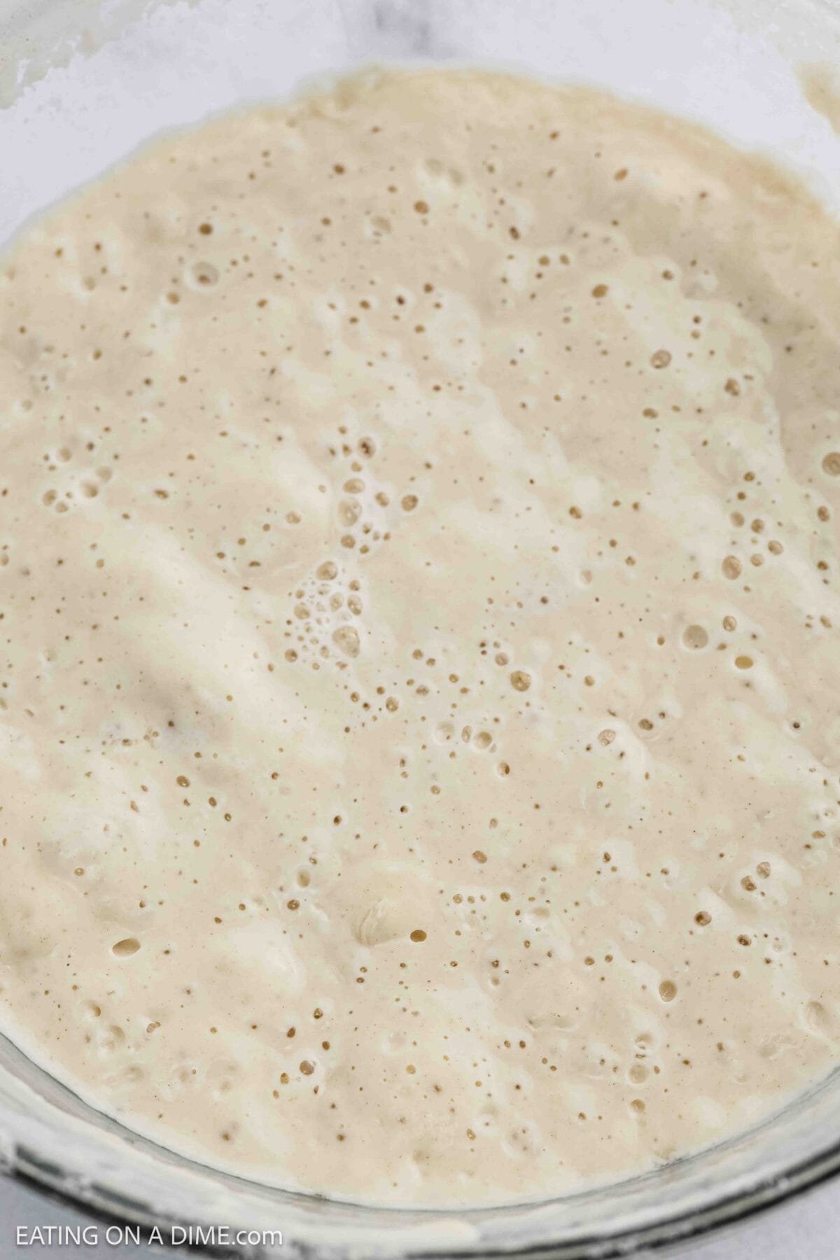 A close-up of bubbly, active sourdough starter in a glass bowl, perfect for your next sourdough recipe, showing a creamy, slightly tan mixture with many air bubbles on the surface.