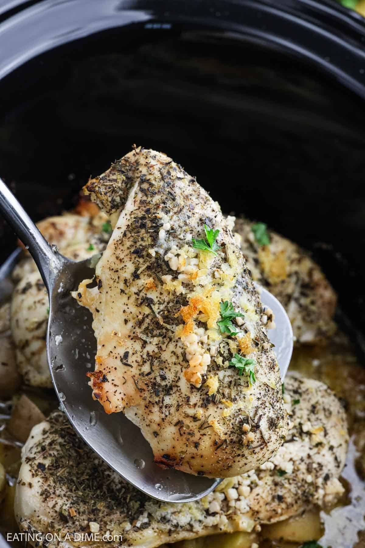 Serving of the seasoned cooked chicken breast on a spatula over the slow cooker.