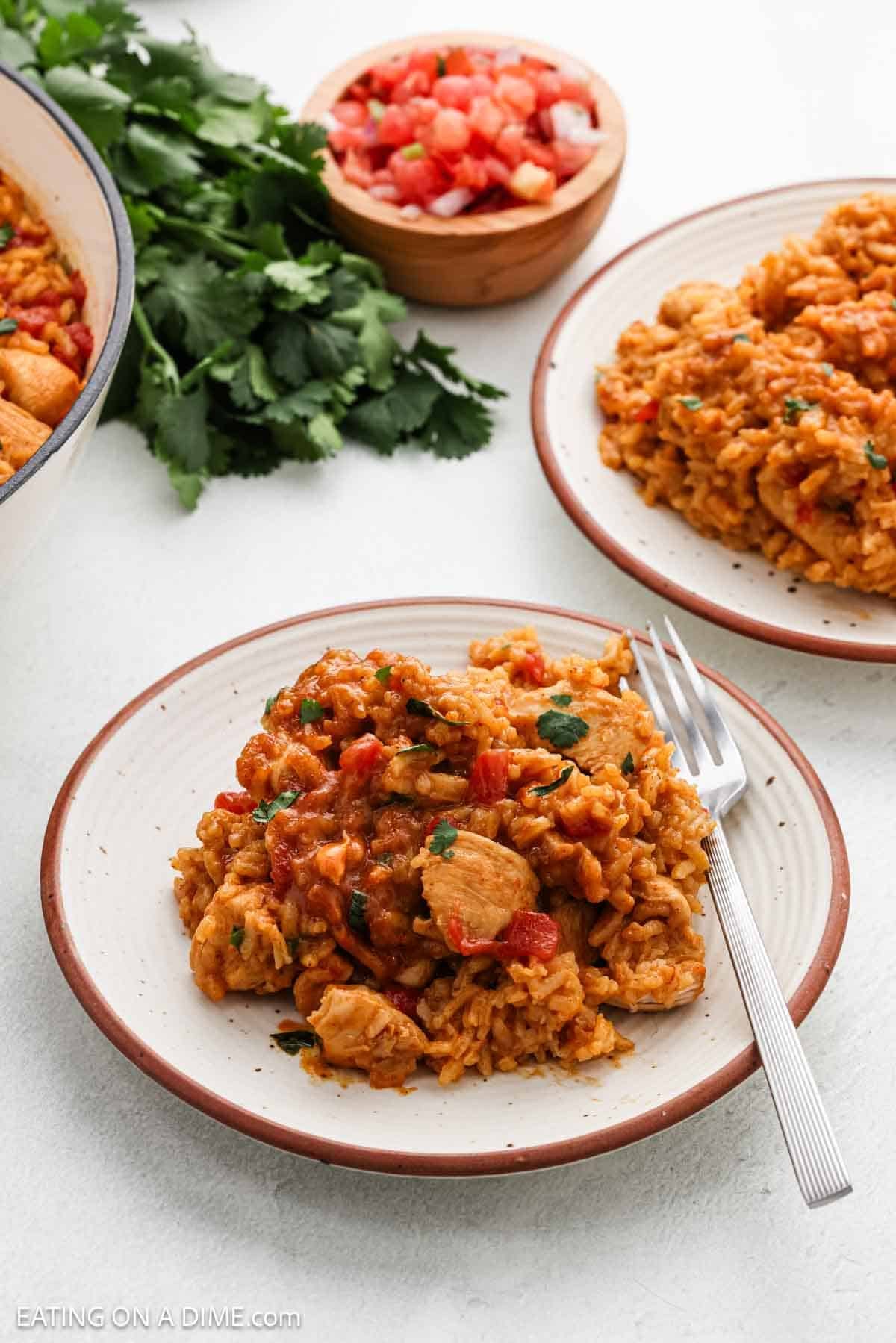 Serving of chicken and rice on a plate.