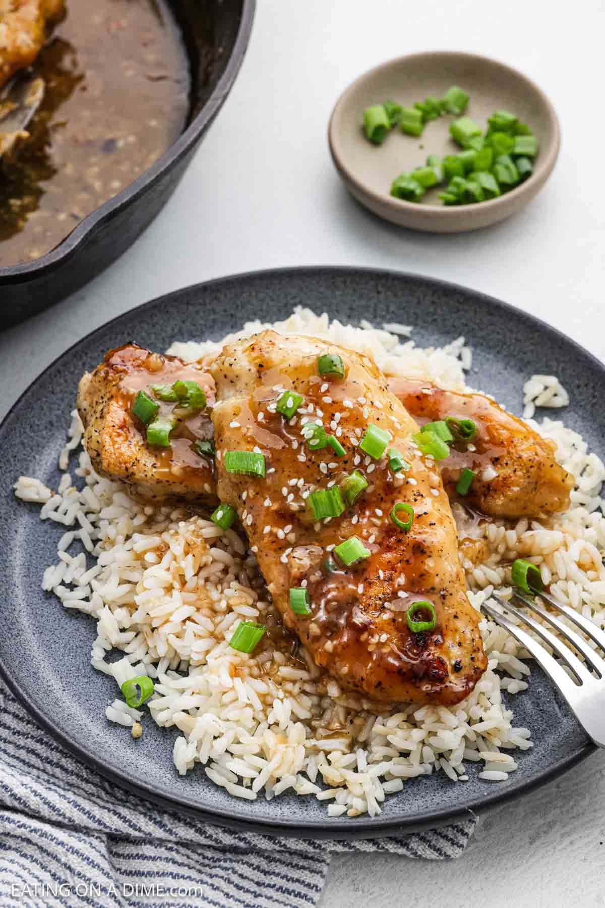 Chicken breast covered with gravy on a plate with white rice topped with green onions and sesame seeds.