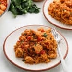 A serving of queso chicken and rice on a plate.