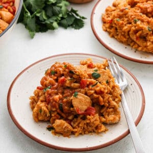 A serving of queso chicken and rice on a plate.