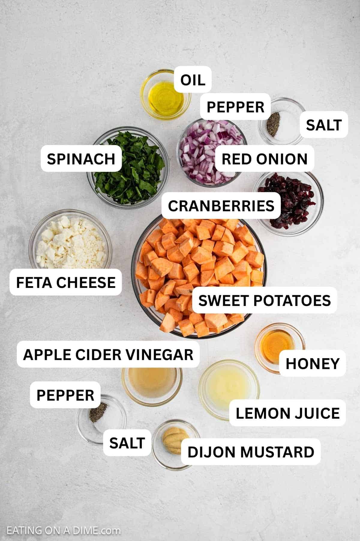 Ingredients needed for this recipe includes sweet potatoes, oil, red onion, dried cranberries, spinach, feta cheese, apple cider vinegar, dijon mustard, lemon juice and honey.