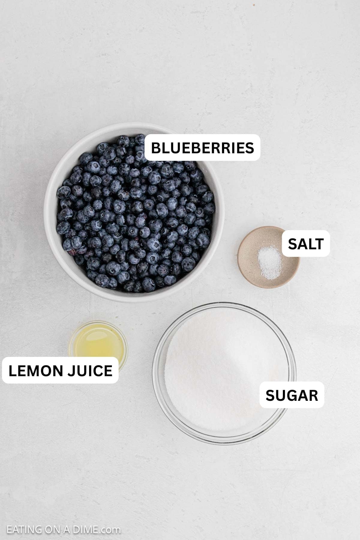 Ingredients needed for this recipe includes blueberries, sugar, lemon juice, and salt.